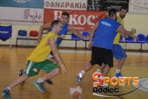 aspida-basket2