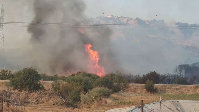 Εικόνες από την πυρκαγιά στην Τραϊανούπολη του Δήμου Αλεξανδρούπολης!